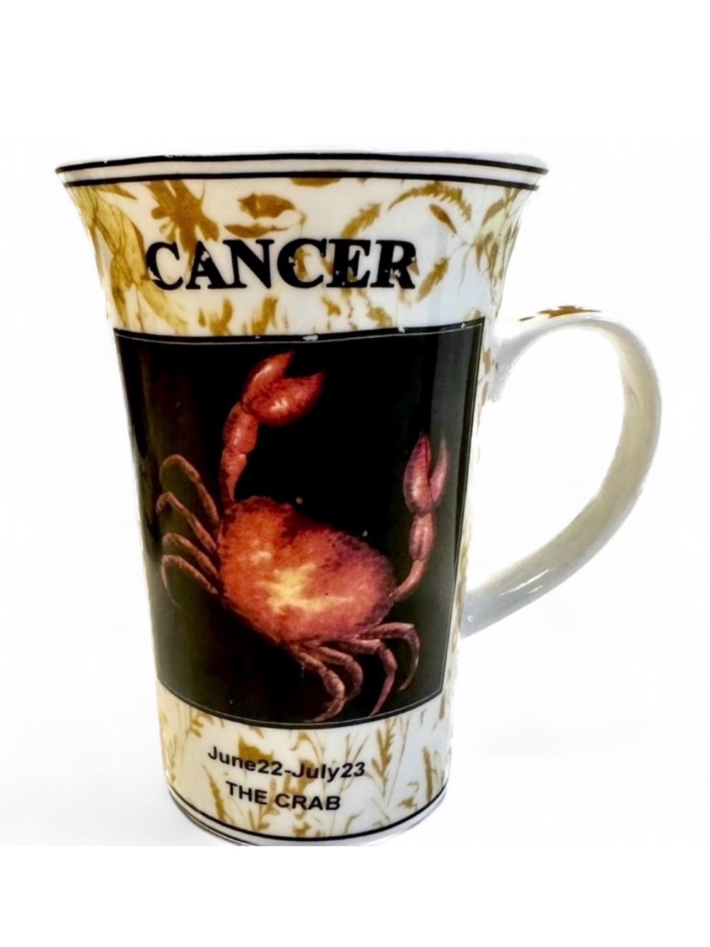 ♋️ Cancer Zodiac Astrology Mug Vintage